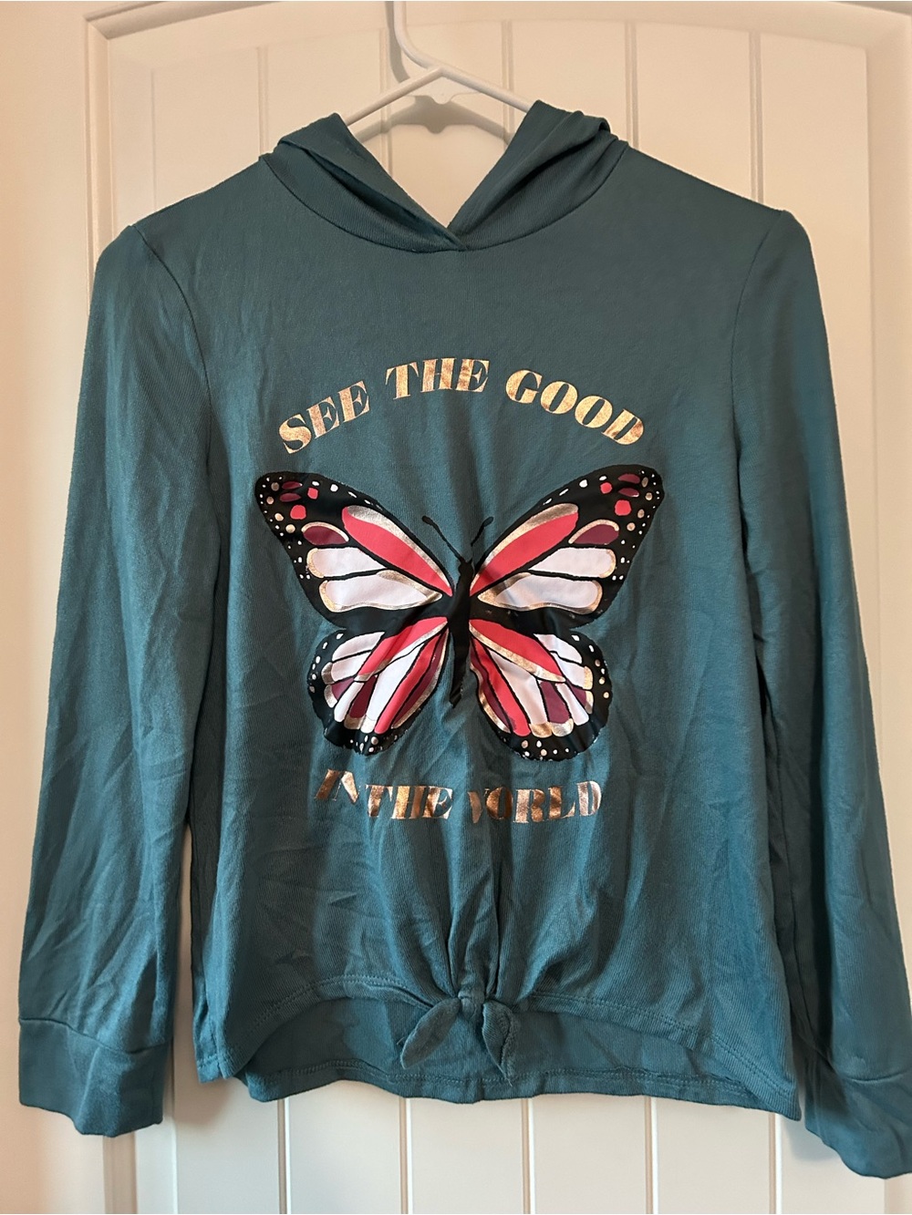 SO Teal Hoodie with Pink, White & Black Butterfly Graphic